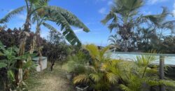 En vente une villa d’architecte de 220m2 avec jardin et piscine à Saint-Leu dans le secteur Grand Fond – Stella.