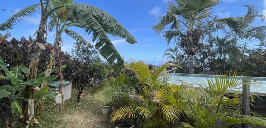 En vente une villa d’architecte de 220m2 avec jardin et piscine à Saint-Leu dans le secteur Grand Fond – Stella.