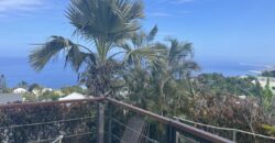 En vente une villa d’architecte de 220m2 avec jardin et piscine à Saint-Leu dans le secteur Grand Fond – Stella.