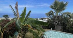 En vente une villa d’architecte de 220m2 avec jardin et piscine à Saint-Leu dans le secteur Grand Fond – Stella.