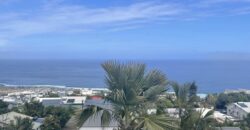 En vente une villa d’architecte de 220m2 avec jardin et piscine à Saint-Leu dans le secteur Grand Fond – Stella.