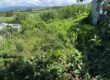 À vendre terrain plat d’environ 200 m2 situé à Saint Pierre dans un quartier résidentiel calme
