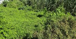 À vendre terrain plat d’environ 200 m2 situé à Saint Pierre dans un quartier résidentiel calme