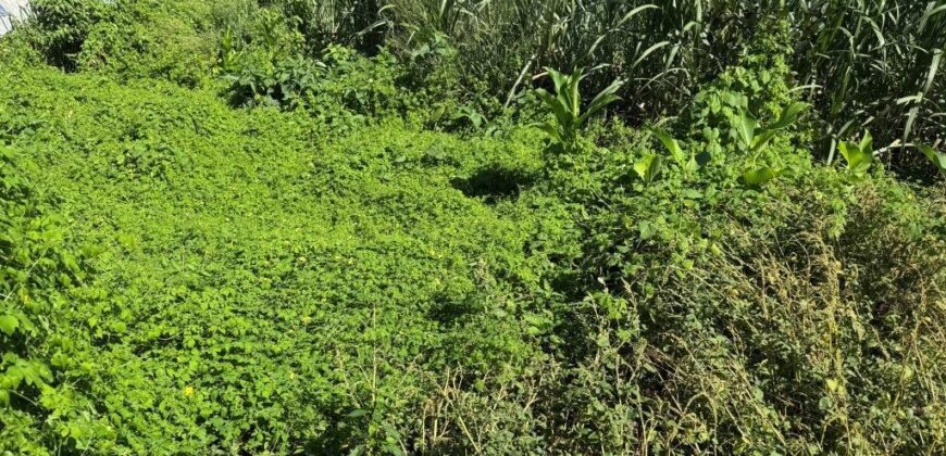 À vendre terrain plat d’environ 200 m2 situé à Saint Pierre dans un quartier résidentiel calme