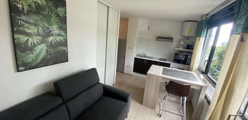 A louer un studio meublé de 23.99m2 dans le rampes de St François à Saint Denis