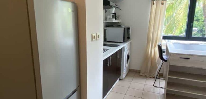 A louer un studio meublé de 23.99m2 dans le rampes de St François à Saint Denis