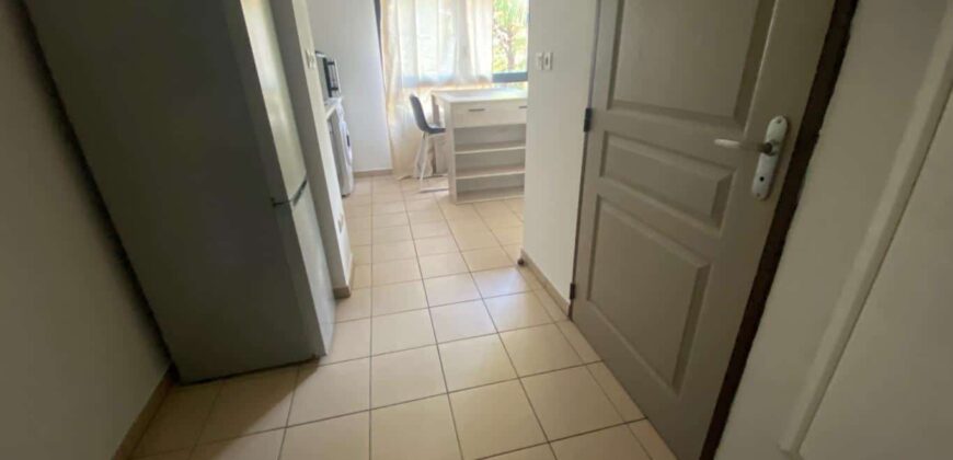 A louer un studio meublé de 23.99m2 dans le rampes de St François à Saint Denis