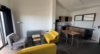 A louer studios neufs, meublés et équipés situés dans une résidence neuve proche du centre ville au Tampon A louer studios neufs, meublés et équipés situés dans une résidence neuve proche du centre ville au Tampon