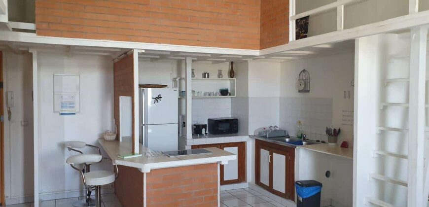 A louer un lumineux appartement meublé de 49m2 proche de la plage et commerces à Saint Pierre