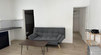Location d’un agréable appartement T2 meublé de 44 m2 situé à la Ligne Paradis Saint Pierre
