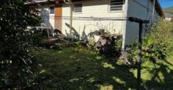 En vente une maison de type bourbon bois sur un terrain de 409m2 au 2ème village de la Plaine des Palmistes