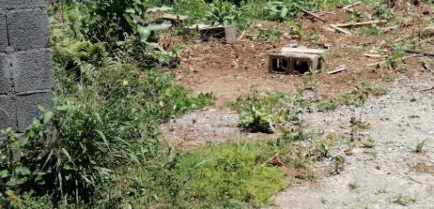 A vendre une parcelle de terrain constructible de 246m2 avec vue mer dans un environnement résidentiel calme a La Bretagne
