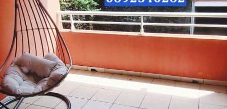 Location d’un superbe appartement T2 de 53 m2 situé à Saint Joseph