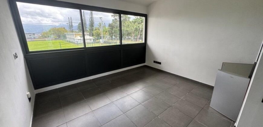En vente deux studios côte à côte d’environ 22 m2 chacun situés face à l’université du Tampon