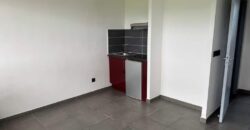 En vente deux studios côte à côte d’environ 22 m2 chacun situés face à l’université du Tampon
