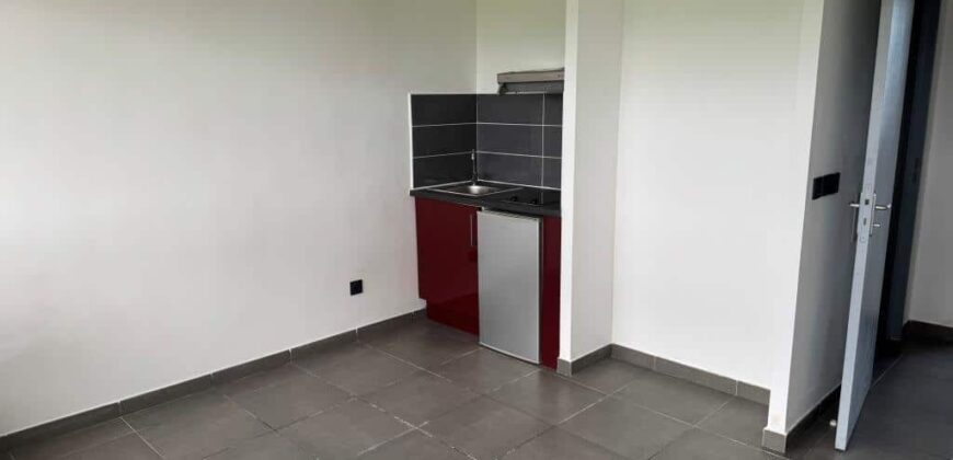 En vente deux studios côte à côte d’environ 22 m2 chacun situés face à l’université du Tampon