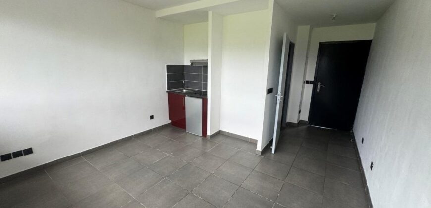 En vente deux studios côte à côte d’environ 22 m2 chacun situés face à l’université du Tampon