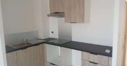 A louer un appartement T2 de 51m2 avec vue mer à la Saline les bains