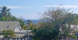 A louer un appartement T2 de 51m2 avec vue mer à la Saline les bains