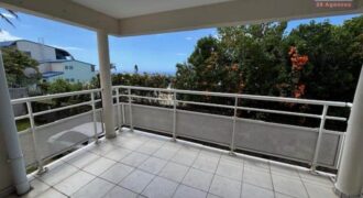 A vendre un appartement T2 de 47m2 avec varangue en plein centre de la Montagne