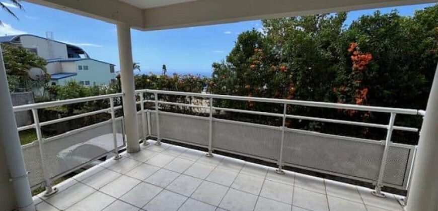A vendre un appartement T2 de 47m2 avec varangue en plein centre de la Montagne
