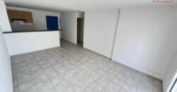 A vendre un appartement T2 de 47m2 avec varangue en plein centre de la Montagne