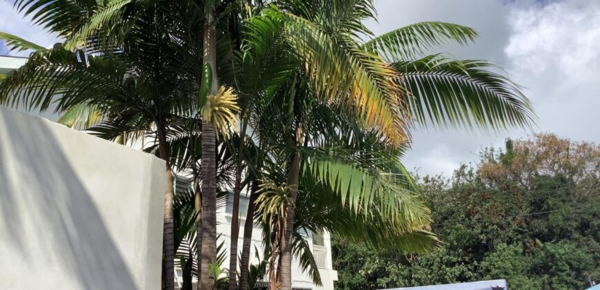 Location d’une belle villa F4 d’une superficie de 89,68 m² située à La Rivière Saint Louis Location d’une belle villa F4 d’une superficie de 89,68 m² située à La Rivière Saint Louis