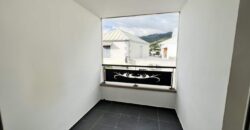A louer un appartement lumineux de type T2 avec terrasse proche des écoles à Saint Denis
