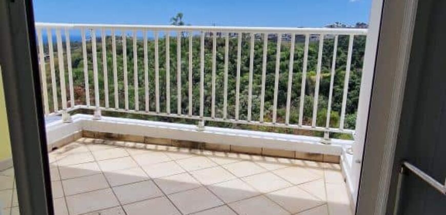 À louer un appartement T2 avec terrasse offrant vue dégagée à Sainte Marie