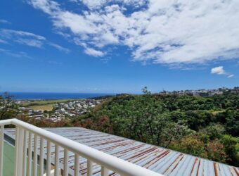 À louer un appartement T2 avec terrasse offrant vue dégagée à Sainte Marie