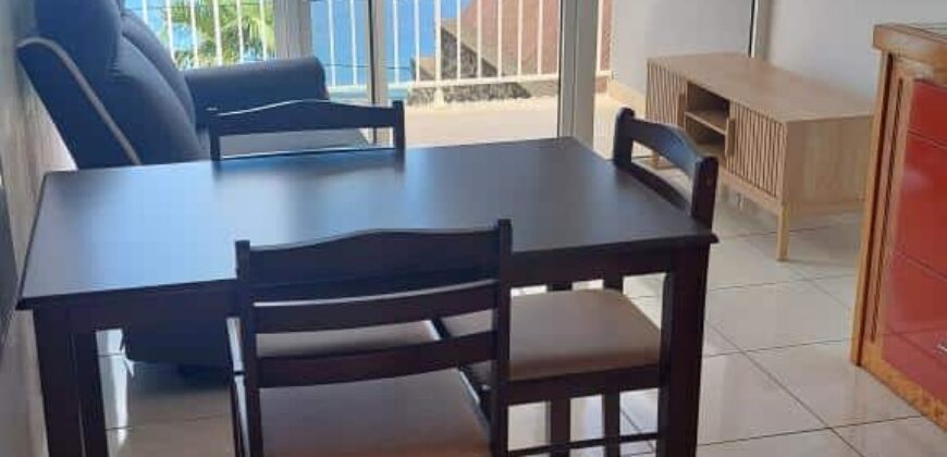 A louer un bel appartement meublé offrant vue sur mer à Saint Leu