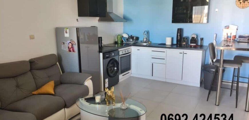 À louer un appartement meublé T2 d’environ 40 m2 situé dans une résidence calme au Tampon