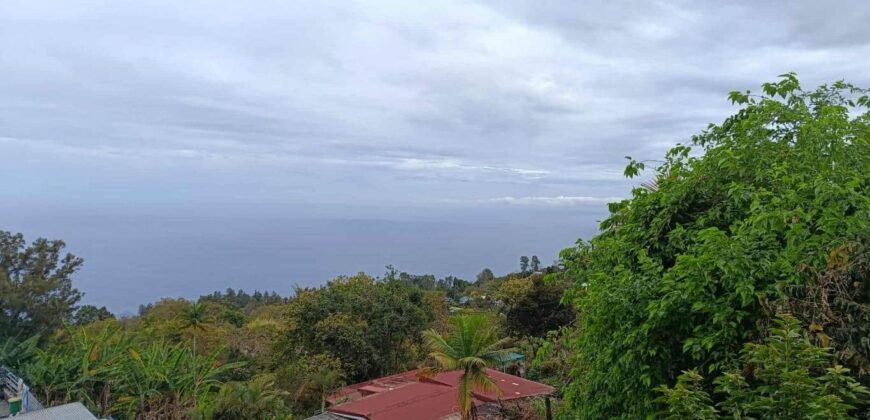 À vendre une charmante maison T6/7 en duplex située à La Chaloupe Saint Leu