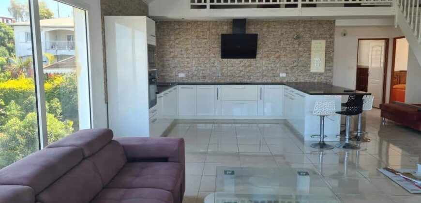 Location appartement meublé et récent de type F4 situé à La Plaine des Cafres