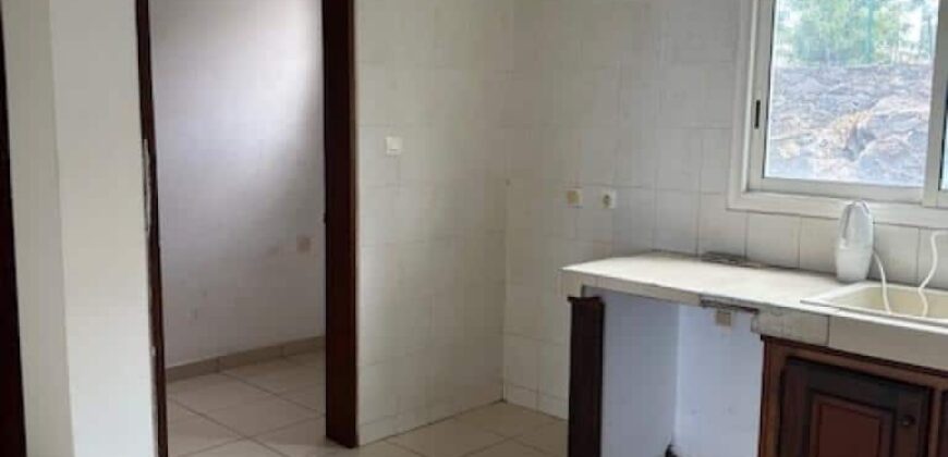 À louer un appartement T4 de 90 m2 en cours de rénovation situé à Saint Pierre