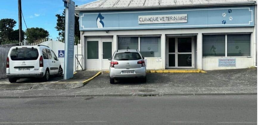 A louer un local commercial de 112m2 à proximité au centre ville de Saint André