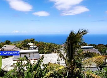 À vendre une maison T3 d’environ 60 m2 sur un terrain de 302 m2 située à Jean-Petit