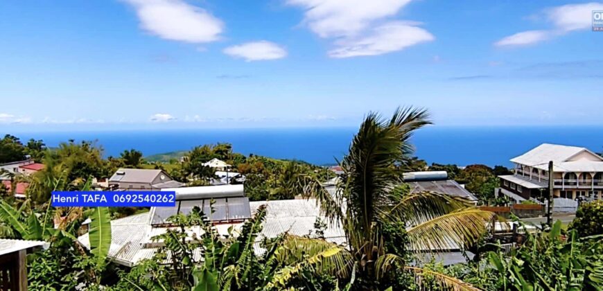 À vendre une maison T3 d’environ 60 m2 sur un terrain de 302 m2 située à Jean-Petit