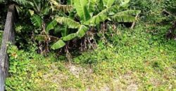 À vendre une maison T3 d’environ 60 m2 sur un terrain de 302 m2 située à Jean-Petit