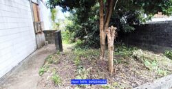 À vendre une maison T3 d’environ 60 m2 sur un terrain de 302 m2 située à Jean-Petit