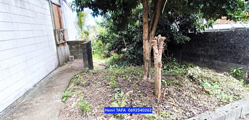 À vendre une maison T3 d’environ 60 m2 sur un terrain de 302 m2 située à Jean-Petit