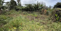 À vendre une belle parcelle de terrain plat de 1200 m2 avec pleine vue mer et montagne à Étang Salé