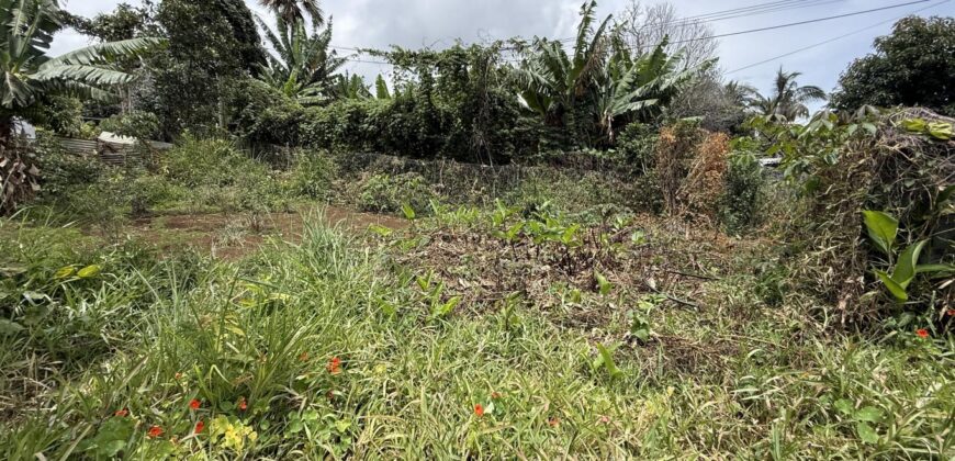 À vendre une belle parcelle de terrain plat de 1200 m2 avec pleine vue mer et montagne à Étang Salé