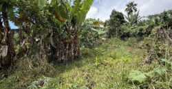 À vendre une belle parcelle de terrain plat de 1200 m2 avec pleine vue mer et montagne à Étang Salé