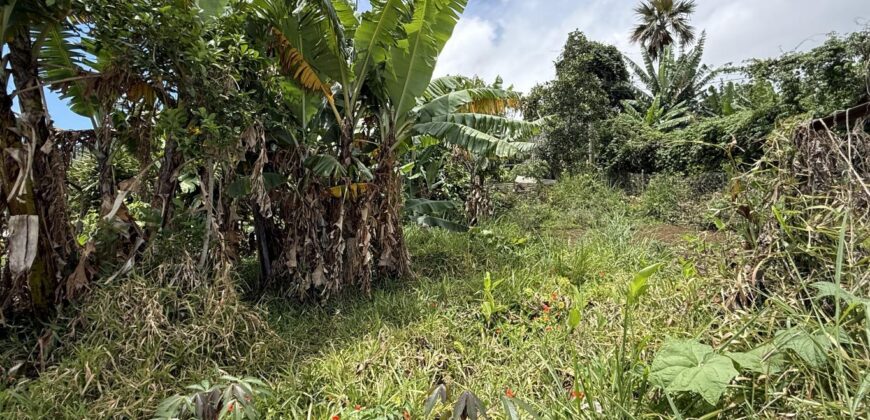 À vendre une belle parcelle de terrain plat de 1200 m2 avec pleine vue mer et montagne à Étang Salé