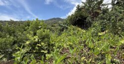 À vendre une belle parcelle de terrain plat de 1200 m2 avec pleine vue mer et montagne à Étang Salé