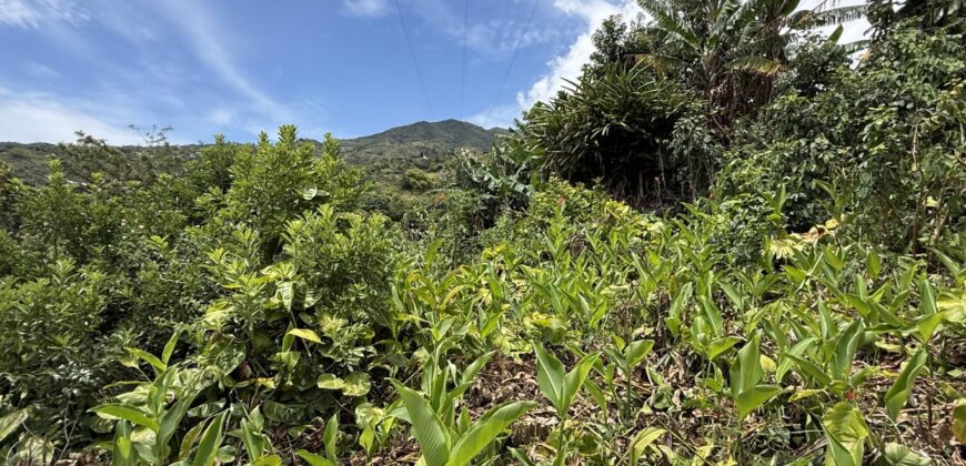 À vendre une belle parcelle de terrain plat de 1200 m2 avec pleine vue mer et montagne à Étang Salé