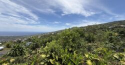 À vendre une belle parcelle de terrain plat de 1200 m2 avec pleine vue mer et montagne à Étang Salé