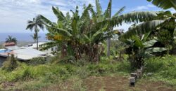 À vendre une belle parcelle de terrain plat de 1200 m2 avec pleine vue mer et montagne à Étang Salé