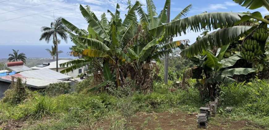 À vendre une belle parcelle de terrain plat de 1200 m2 avec pleine vue mer et montagne à Étang Salé